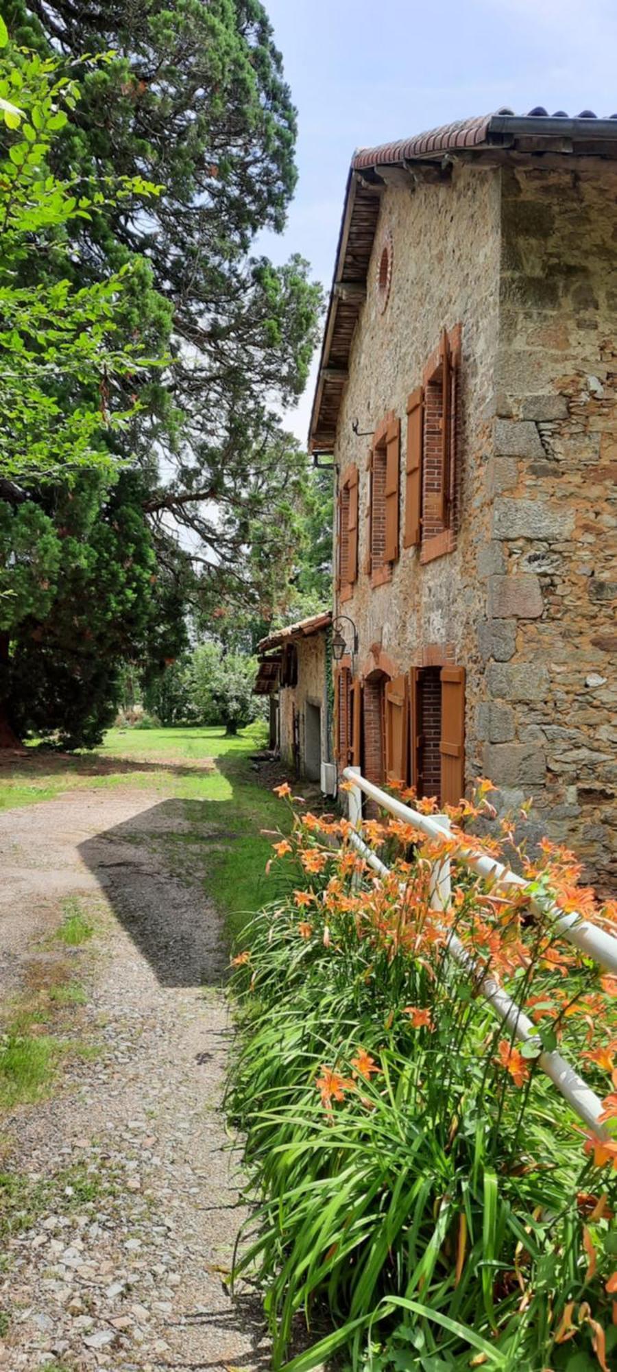 Maison Des Sequoias - Parc 1 Hectare- Veyrac Extérieur photo